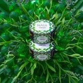 Табак НАШ - 40гр - Тархун (нм) product image