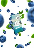 Табак - Сарма - 40гр - Северная черника (нм) product image