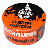 Табак - Black Burn - 25гр - Cherry Garden (Черешневый сок) product image