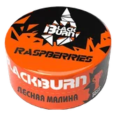 Табак - Black Burn - 25гр - Raspberries (Малина) product image