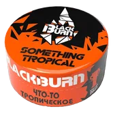 Табак - Black Burn - 25гр - Something Tropical (Что-то тропическое) product image