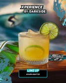 Табак Darkside Xperience - Lime Up (Лайм Биттер) 30гр (м) product image