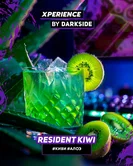 Табак Darkside Xperience - Resident Kiwi (Киви Алоэ)30гр (нм) product image